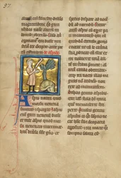 Un uomo e un serpente